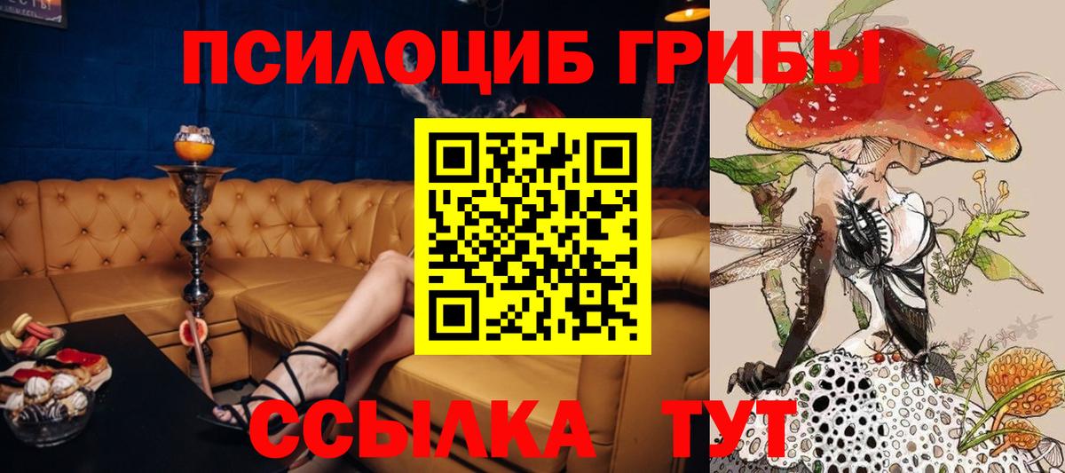 Псилоцибиновые грибы MAGIC MUSHROOMS Азнакаево