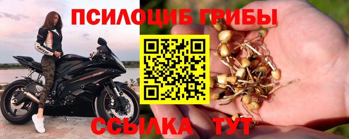 Галлюциногенные грибы Psilocybine cubensis  Вход с VPN  Азнакаево 